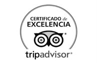 Trip Advisor